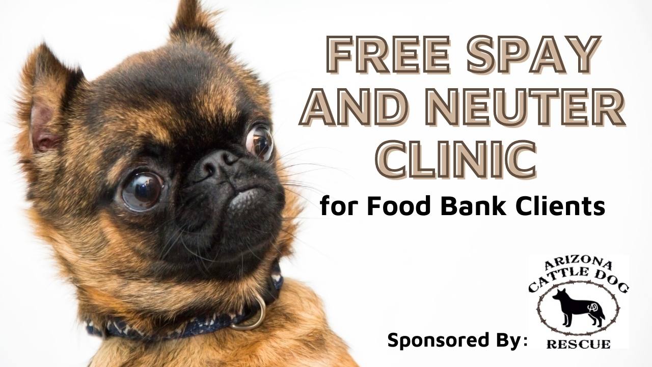 Free Spay and Neuter Clinic for Food Bank Clients - Foothills Food Bank &  Resource Center